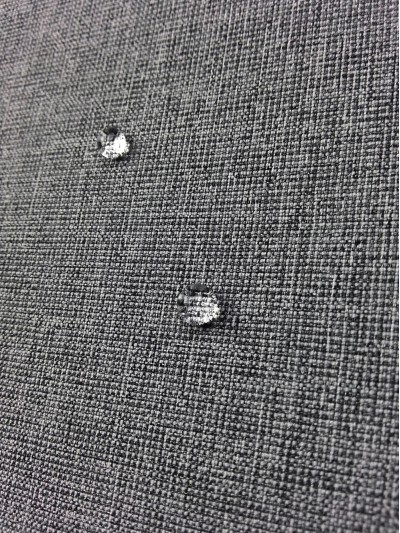 JS ZOYG 牛津布陽離子 後面照